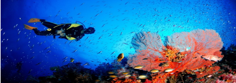 The third day of your Maldives Itinerary can be dedicated to water based activities.