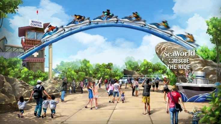 Gold Coast: Sea World Tour