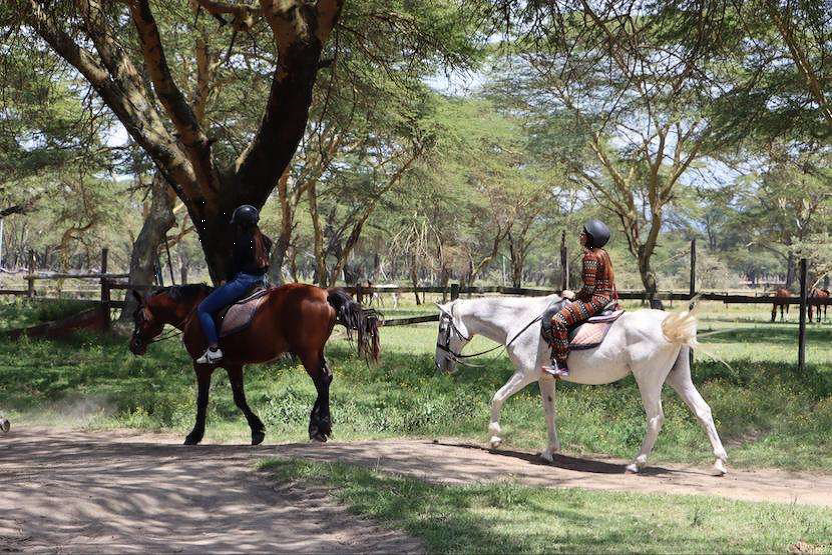 Transfer to Naivasha & Wildlife Horse Safari