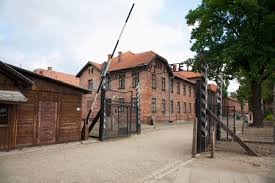 Auschwitz-Birkenau and Wieliczka Salt Mine