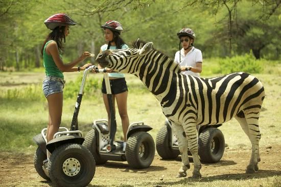 Mauritius: Casela Nature and Leisure Park
