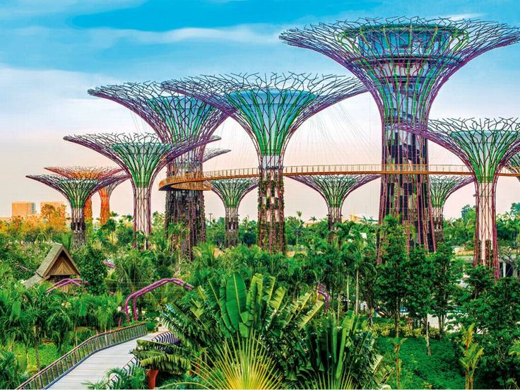Singapore: Gardens By the Bay
