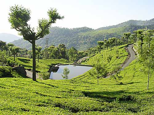Ooty / Coimbatore / Kotagiri